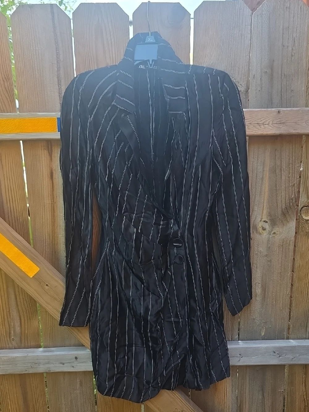 Zara Pinstripe Dress